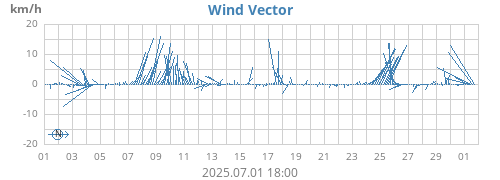 Wind Vector