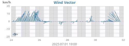 Wind Vector